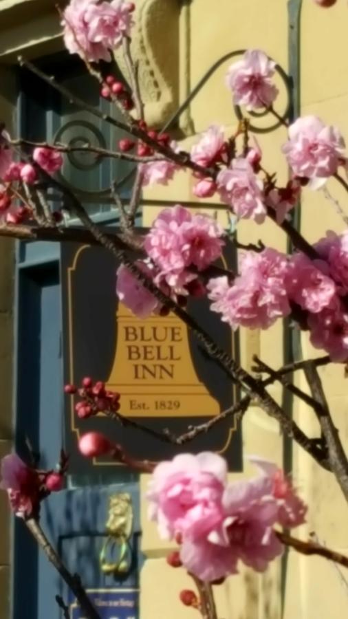 Blue Bell Inn Sorell Exterior photo